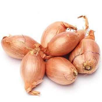 Ail et oignons bio-Echalote - bio-250 g-LEGUMES DE VALBO