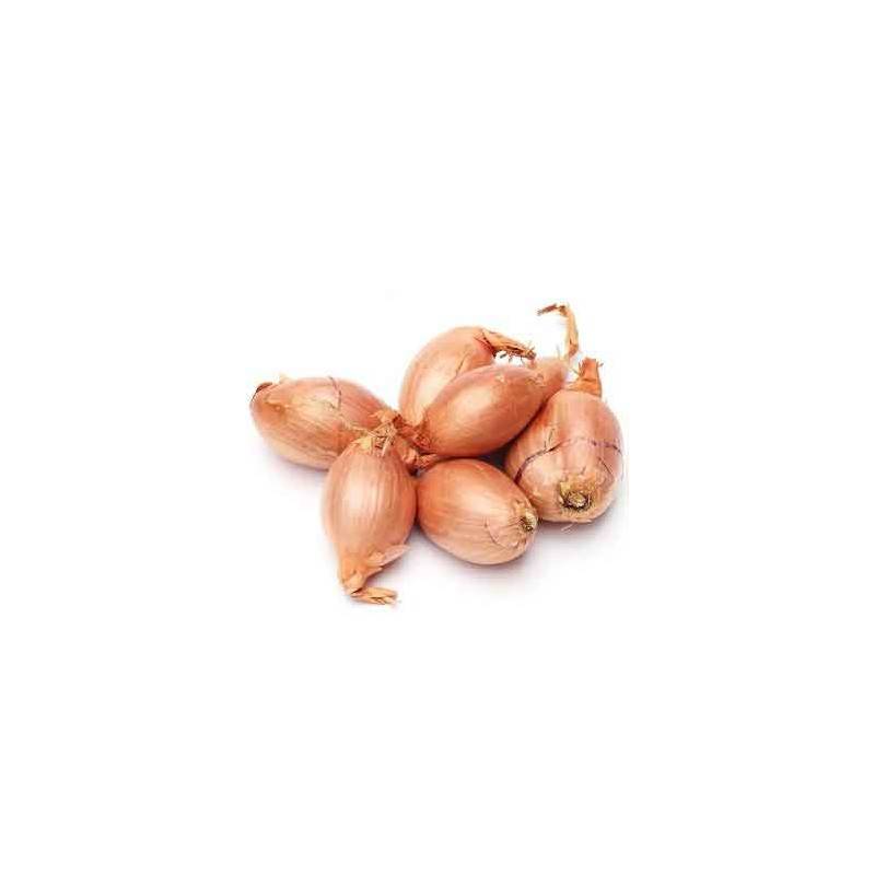 Ail et oignons bio-Echalote - bio-250 g-LEGUMES DE VALBO Ail et oignons bio-Echalote - bio-250 g-LEGUMES DE VALBO
