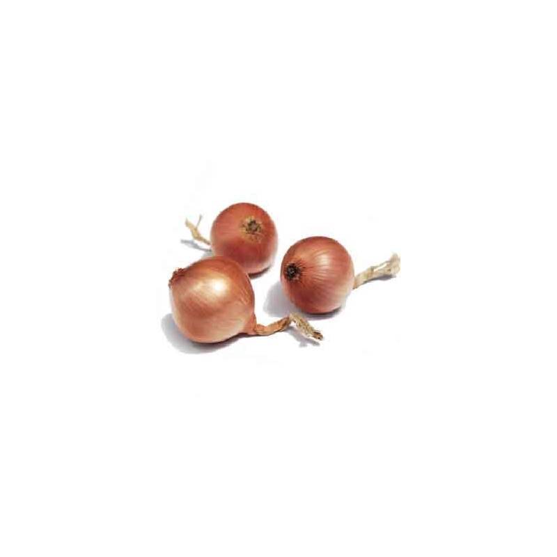 Ail et oignons bio-L'oignon rose bio- kg-BIO RENNES Ail et oignons bio-L'oignon rose bio- kg-BIO RENNES