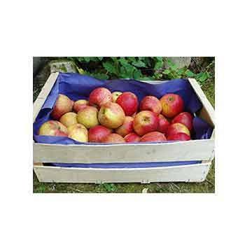 Fruits et légumes-Pomme Royal Gala - Kg-SUBERY SARL