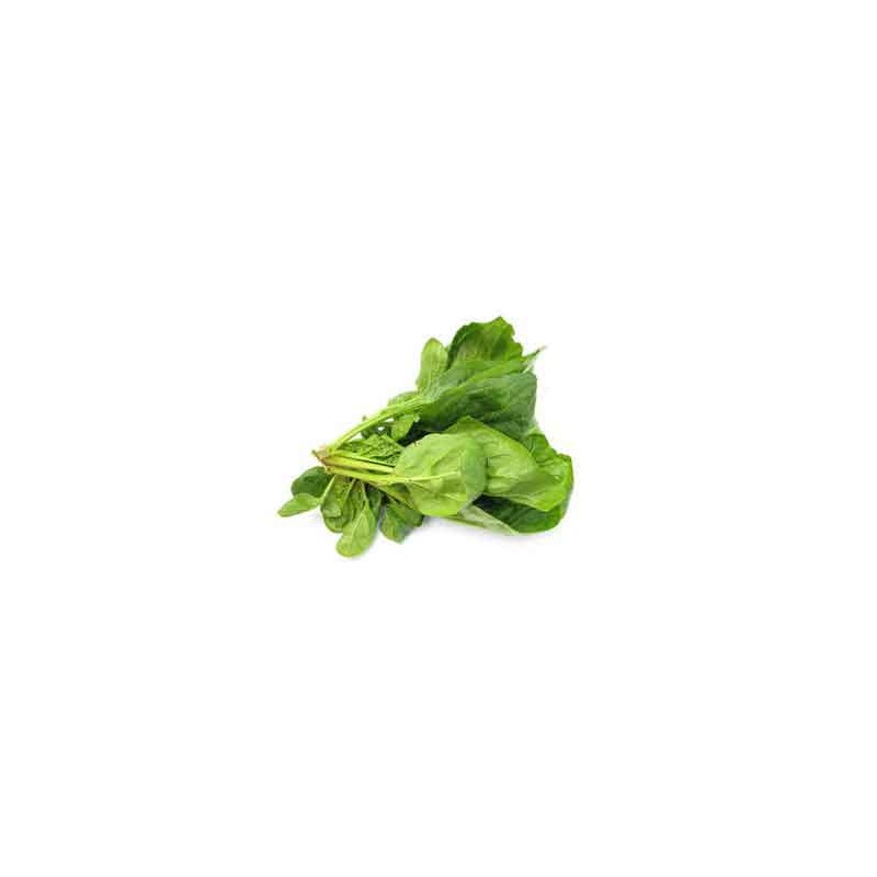 Fruits et légumes Epinards - 500 g SUBERY NON BIO Fruits et légumes Epinards - 500 g SUBERY NON BIO