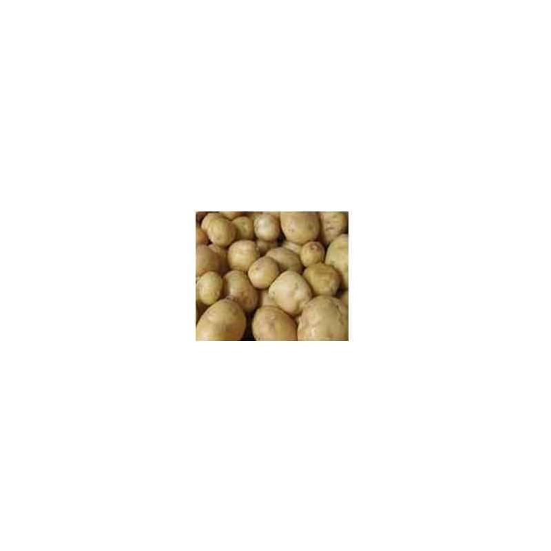 Poireaux, pommes de terre-Pommes de terre- Europa au kg-GAEC BOCEL NON BIO