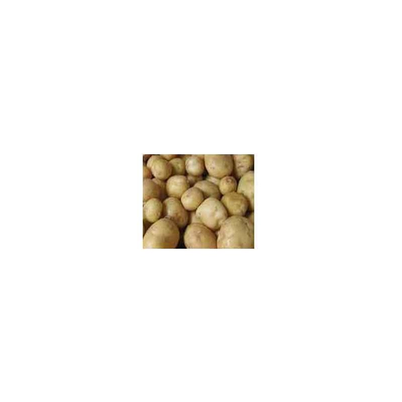 Poireaux, pommes de terre-Pommes de terre- Europa 10 kg-GAEC BOCEL NON BIO Poireaux, pommes de terre-Pommes de terre- Europa 10 kg-GAEC BOCEL NON BIO