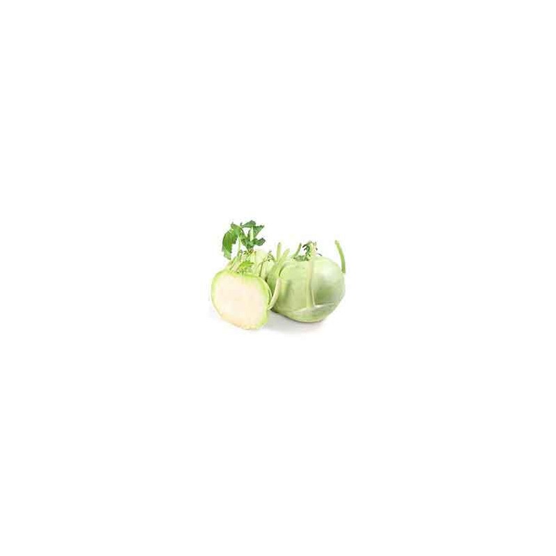 Choux, radis ... Chou Rave vert - bio piece LEGUMES DE VALBO Choux, radis ... Chou Rave vert - bio piece LEGUMES DE VALBO