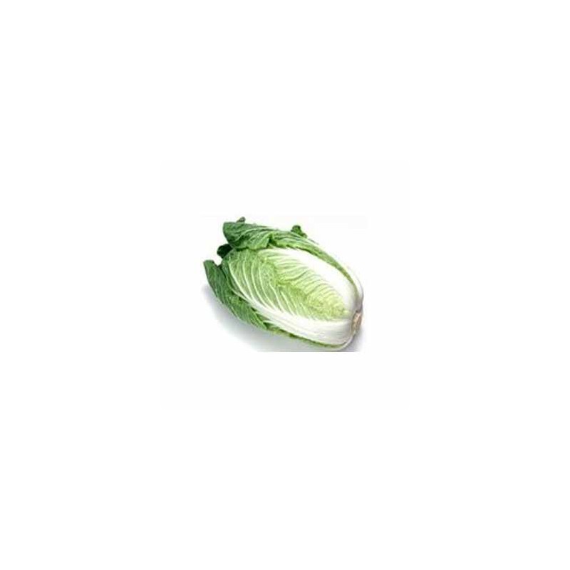 Légumes biologiques-Chou Chinois bio - La pièce de 800 grs env.-BIO RENNES Légumes biologiques-Chou Chinois bio - La pièce de 800 grs env.-BIO RENNES