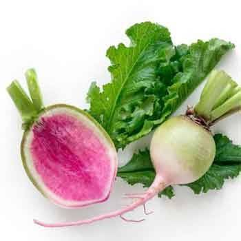 Choux, radis ...-Radis READ MEAT- 500 G-RONAN LE GALL