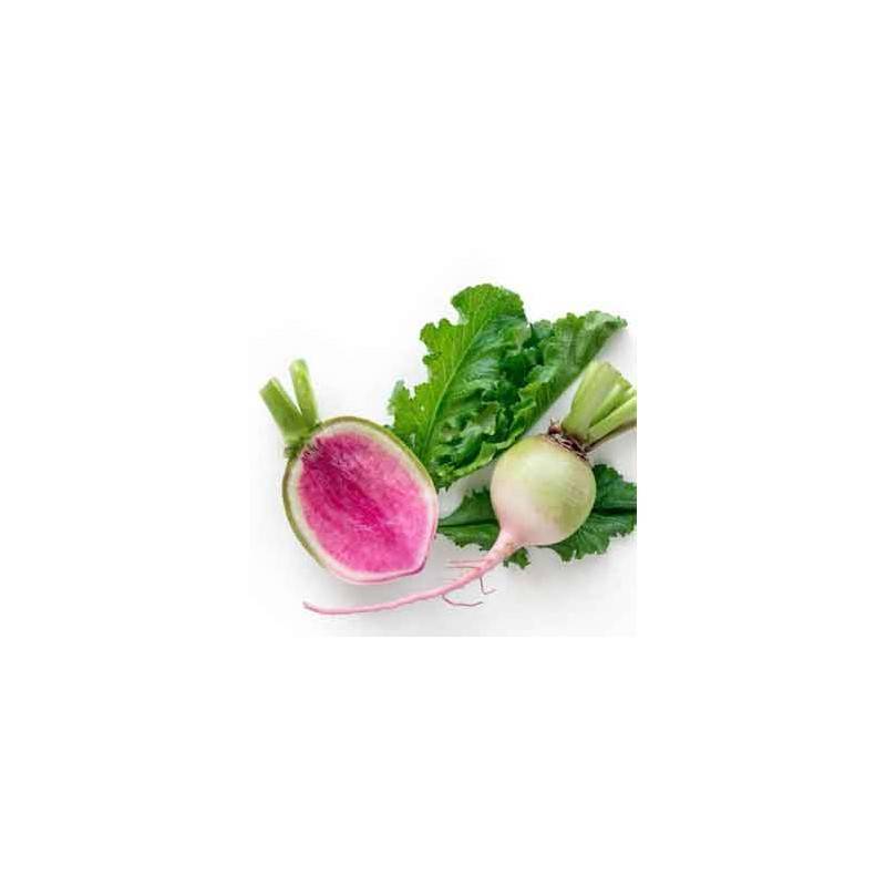 Choux, radis ...-Radis READ MEAT- 500 G-RONAN LE GALL Choux, radis ...-Radis READ MEAT- 500 G-RONAN LE GALL