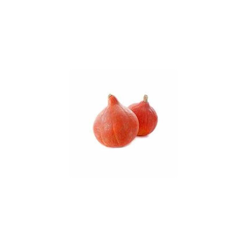 Légumes frais-Potimarron bio - 1Kg300 env-BIO RENNES Légumes frais-Potimarron bio - 1Kg300 env-BIO RENNES
