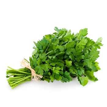 Salades, herbes aromatiques-Persil plat biologique - La botte-RONAN LE GALL