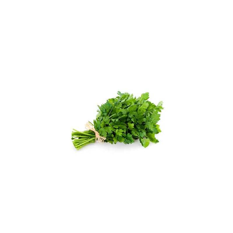 Salades, herbes aromatiques-Persil plat biologique - La botte-RONAN LE GALL Salades, herbes aromatiques-Persil plat biologique - La botte-RONAN LE GALL