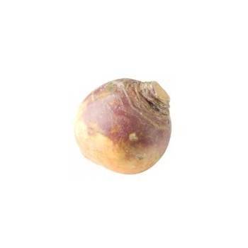 Légumes biologiques-rutabaga bio- kg-BIO RENNES