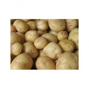 Poireaux, pommes de terre-Pommes de terre- charlotte par 10 KG-GAEC BOCEL NON BIO