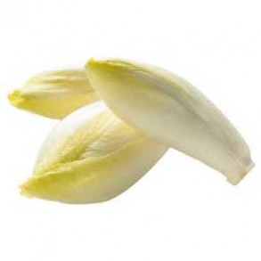 Salades et aromates-Endive bio - 500 g-BIO RENNES