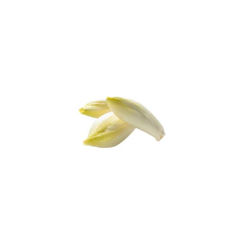 Salades et aromates-Endive bio - 500 g-BIO RENNES