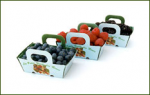 Fruits légumes frais, autres