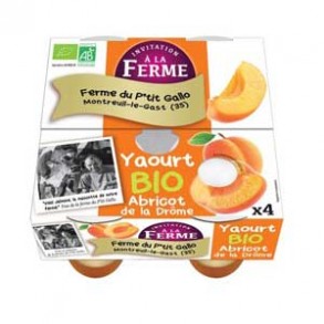 Yaourts (vache)-Les yaourts à l'abricot- bio par 4-LE P TIT GALLO