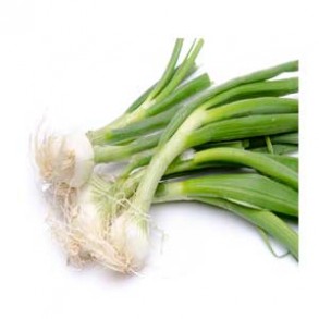 Ail, oignons et échalotes-Oignon nouveau - la botte-LEGUMES DE VALBO