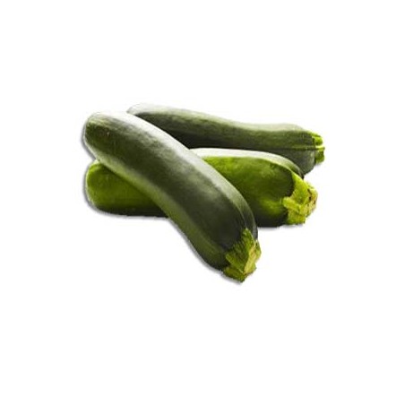 courgette bio par 500 grs env.Légumes fraisMarie et Ludovic