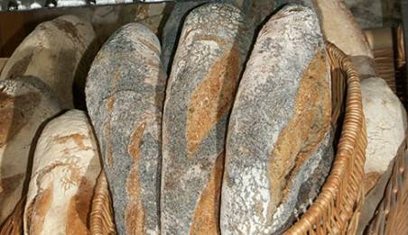 Fagotin pavot Bio 500 grsPains spéciauxFagots et Froment