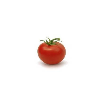 Tomate grappe bio- 1 kgTomates et concombres bioBIO RENNES