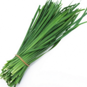 Herbes aromatiques ciboulette biologique - Botte RONAN LE GALL