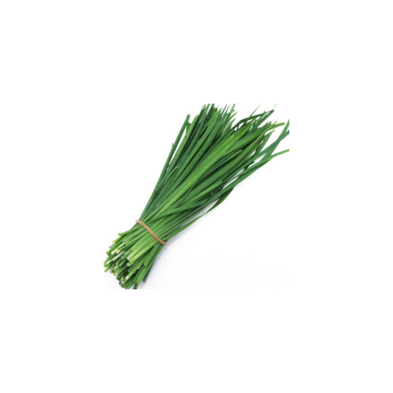 Herbes aromatiques ciboulette biologique - Botte RONAN LE GALL Herbes aromatiques ciboulette biologique - Botte RONAN LE GALL