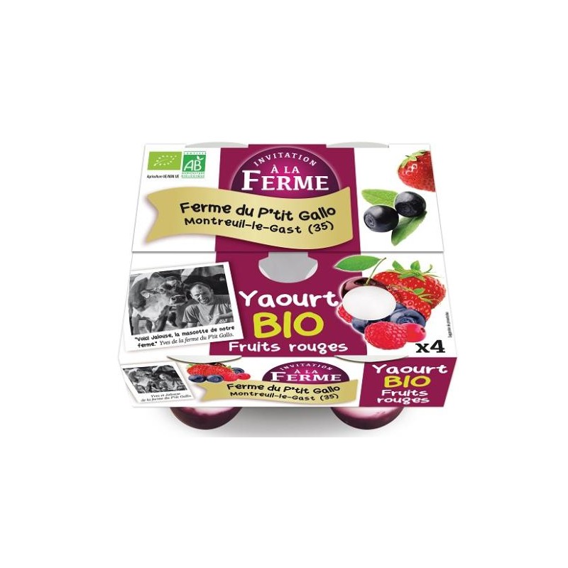 Yaourts (vache)-yaourts aux fruits rouges par 4- bio-LE P TIT GALLO