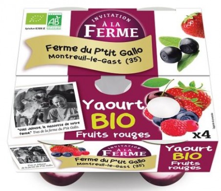 yaourts aux fruits rouges par 4- bioYaourts (vache)LE P TIT GALLO