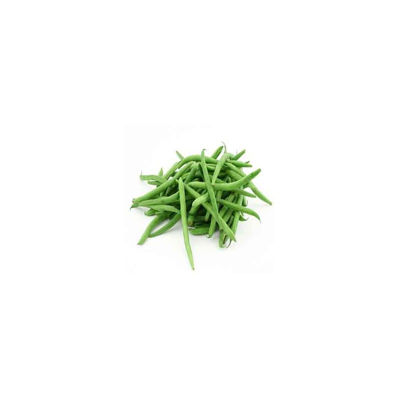 Haricot, petit-pois, fêves bio-Haricot vert bio-500 G-GABILLARD EARL Haricot, petit-pois, fêves bio-Haricot vert bio-500 G-GABILLARD EARL