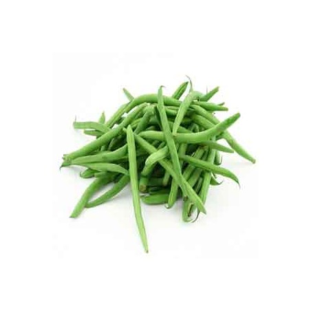 Haricot vert bio-500 GHaricot, petit-pois, fêves bioMarie et Ludovic