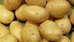 Poireaux, pommes de terre Pomme de terre Passion Bio au kg LEGUMES DE VALBO