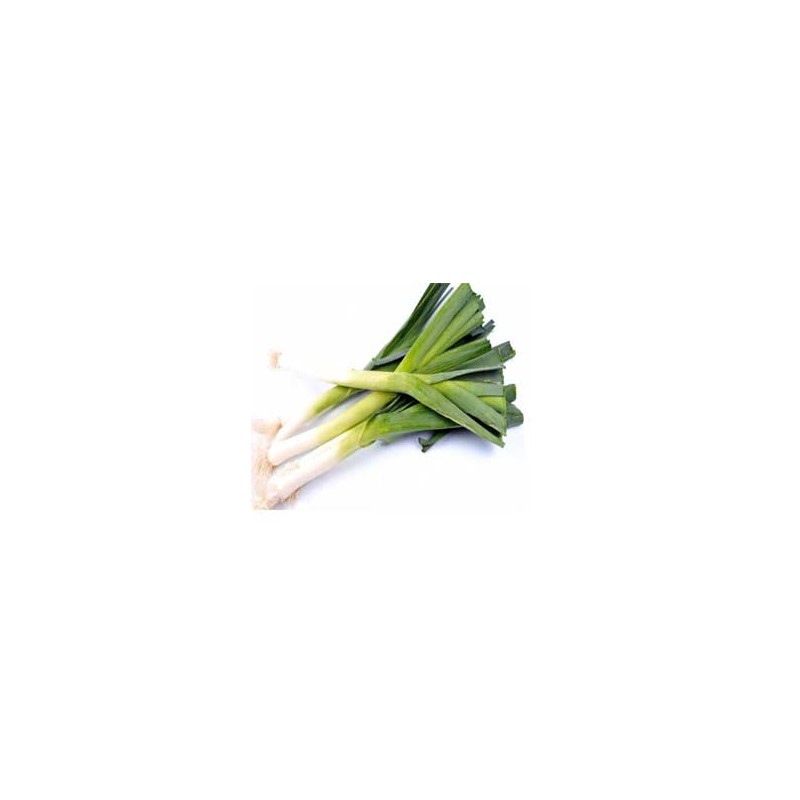 Poireaux, pommes de terre Poireaux Bocel au kg GAEC BOCEL NON BIO Poireaux, pommes de terre Poireaux Bocel au kg GAEC BOCEL NON BIO