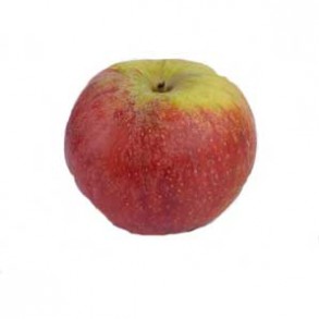 Pommes, poires et kiwis-Pomme Biologique -Suntan-kg-VERGERS DE L'ILLE
