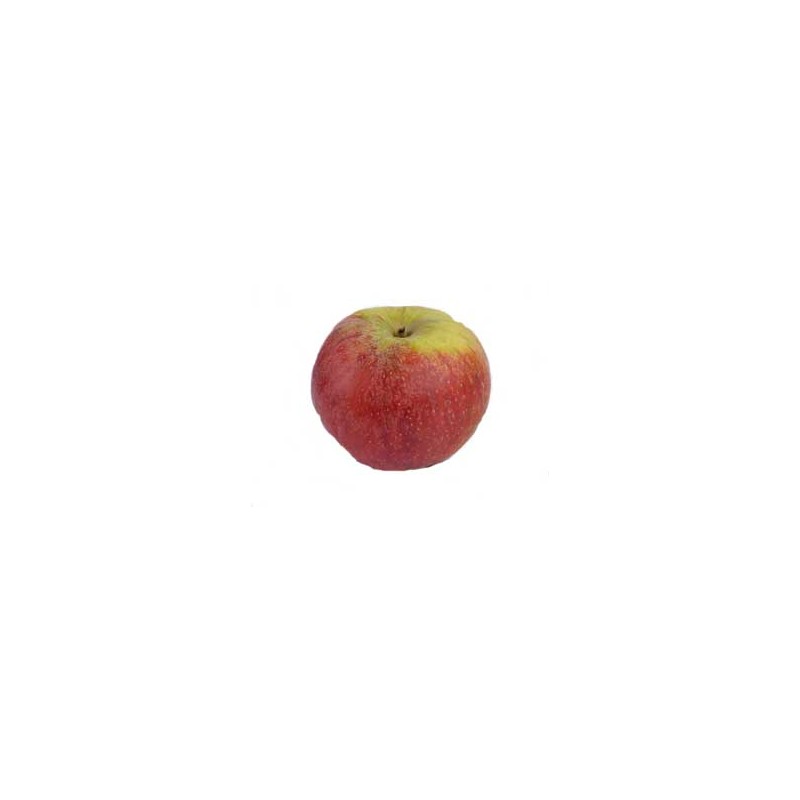 Les fruits d'ici-Pomme Biologique -Suntan-kg-VERGERS DE L'ILLE Les fruits d'ici-Pomme Biologique -Suntan-kg-VERGERS DE L'ILLE