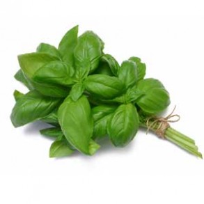 Herbes aromatiques Basilic bio botte LEGUMES DE VALBO