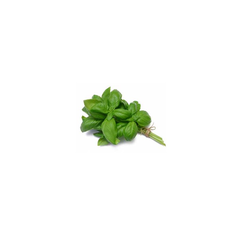Herbes aromatiques-Basilic bio botte-LEGUMES DE VALBO Herbes aromatiques-Basilic bio botte-LEGUMES DE VALBO