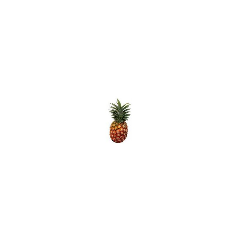 Fruits frais l'Ananas - pièce SUBERY NON BIO