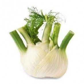 Légumes biologiques-Fenouil bio- (400grs env)-BIO RENNES