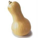 Potimarron, courges, butternut-butternut biologique- ENV 1.3 KG-BIO RENNES
