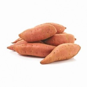 catalogue produits-Patates douces Bio - au Kg-RONAN LE GALL