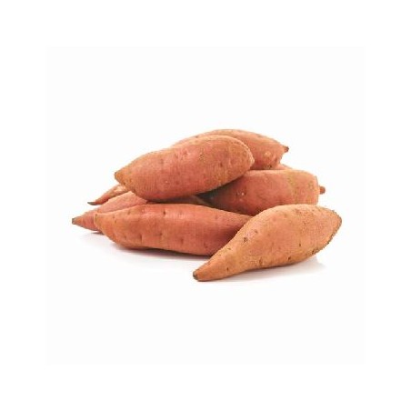 Patates douces Bio- KgFruits légumes frais, autresMarie et Ludovic