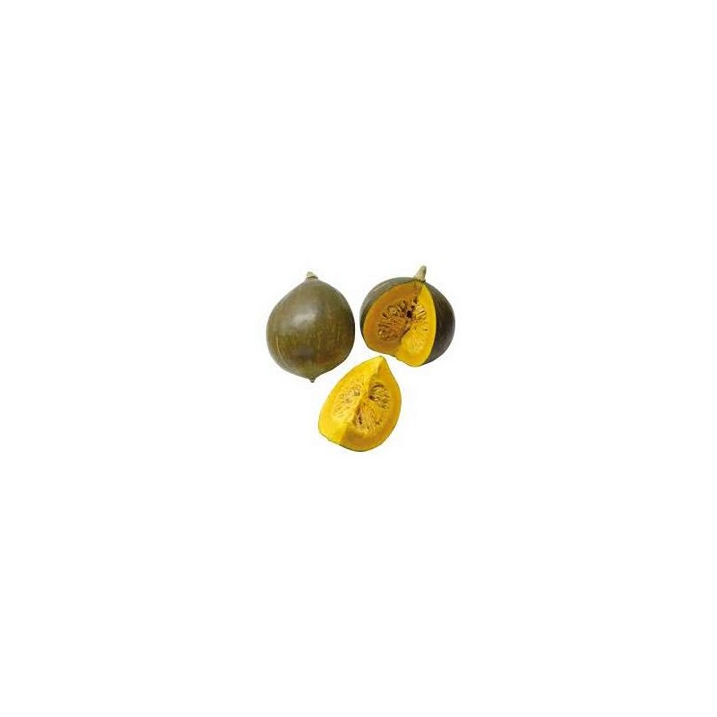 Potimarron, courges-Courge portion 1 kg - verdaline ou bleu Hongrie-RONAN LE GALL Potimarron, courges-Courge portion 1 kg - verdaline ou bleu Hongrie-RONAN LE GALL