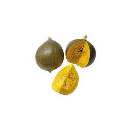 Courge portion 1 kg - bleu HongriePotimarron, courgesRONAN LE GALL