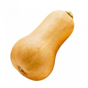 Potimarron, courges-butternut biologique- ENV 1.5 KG-GABILLARD EARL