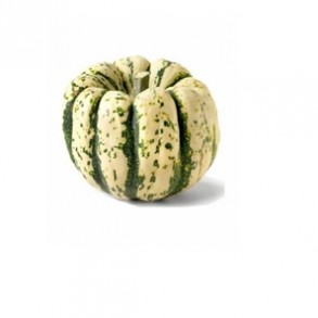Potimarron, courges-Courge patidou- La pièce env.600g-LEGUMES DE VALBO