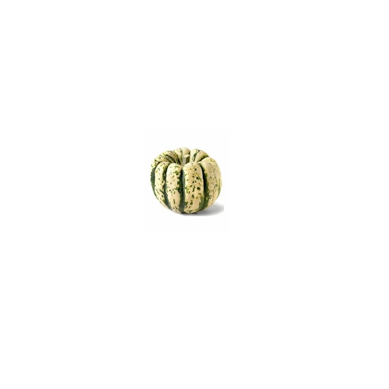 Potimarron, courges Courge patidou- pièce env.600g GABILLARD EARL Potimarron, courges Courge patidou- pièce env.600g GABILLARD EARL