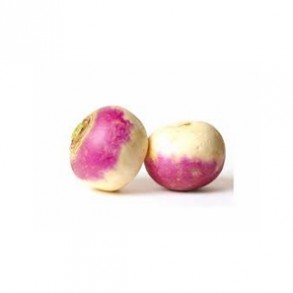 Légumes biologiques-Le navet violet bio- 500 g-BIO RENNES