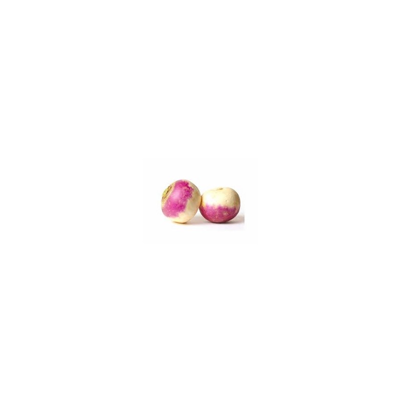 Divers légumes frais bio-Navet violet nouveau bio- 500 g-BIO RENNES Divers légumes frais bio-Navet violet nouveau bio- 500 g-BIO RENNES