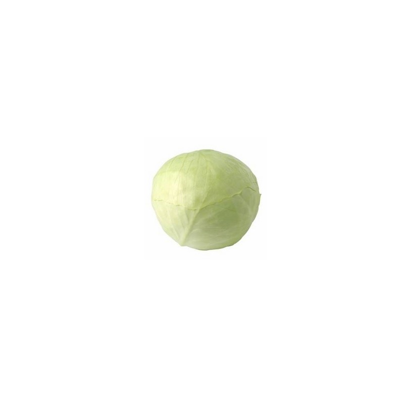 Artichaut, brocolis et choux-Chou lisse biologique- la pièce-LEGUMES DE VALBO Artichaut, brocolis et choux-Chou lisse biologique- la pièce-LEGUMES DE VALBO