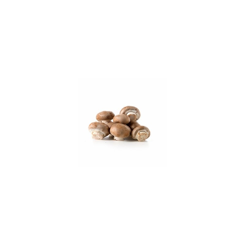Choux, épinard, radis Champignon blond barquette - par 500g SUBERY NON BIO Choux, épinard, radis Champignon blond barquette - par 500g SUBERY NON BIO